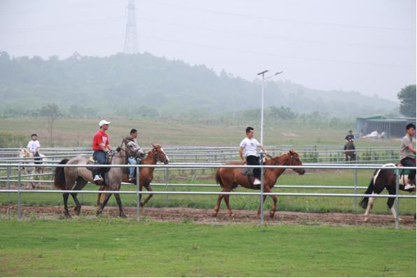 南京市浦口区尚峰尚水桃源谷：首年丰收达36万斤，农旅融合引领潮流