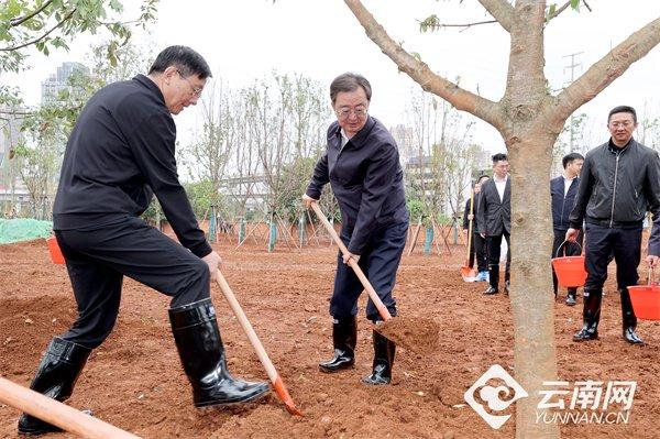 省领导参加义务植树活动 建设绿美云南 增厚“绿色家底” 王宁王予波石玉钢刘晓凯参加