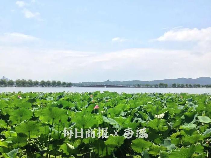 暴雨下线倒计时！气温即将狂飙！杭州人最讨厌的它，马上要来了......