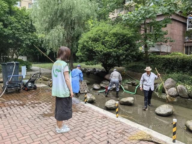 池塘整改焕新颜，鱼跃人欢享美景