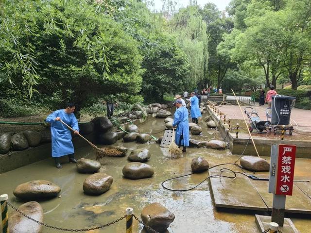 池塘整改焕新颜，鱼跃人欢享美景