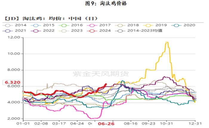 云评论 | 鸡蛋：鸡蛋为何近日持续反弹？