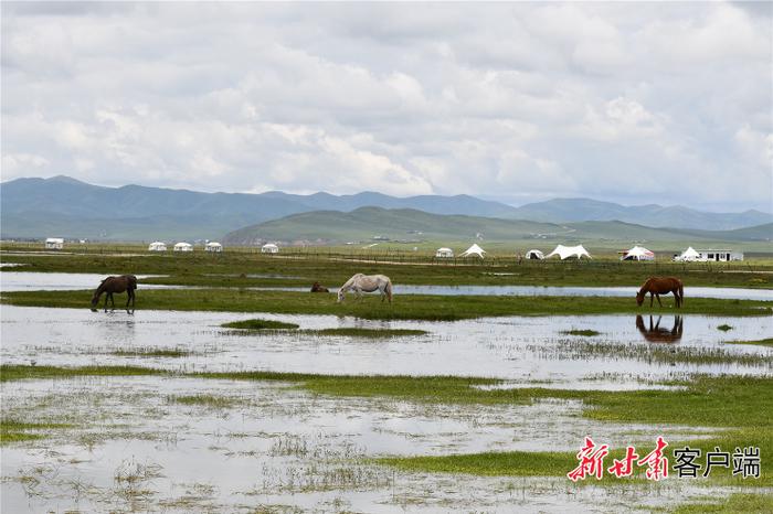 甘南：守护绿水青山 共建生态文明