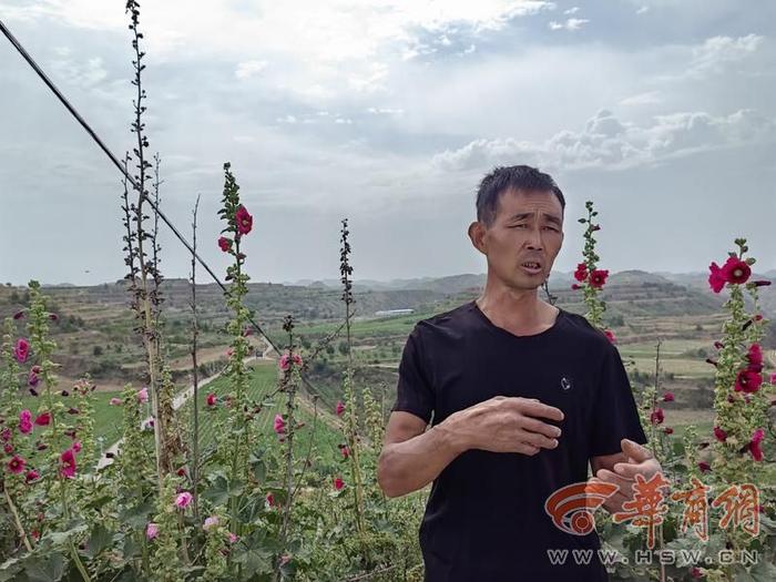 高质量发展调研行丨米脂高西沟村：水土治理让生态更好 农民更富