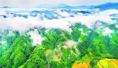 江西九岭山国家级自然保护区：这里是大鲵的家
