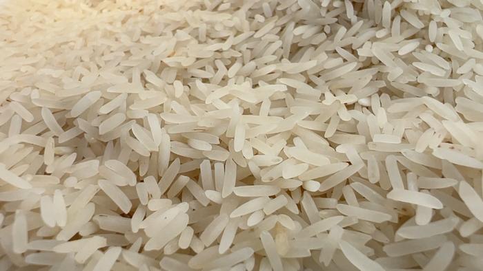 东方水稻种子的“小院圆梦记”
