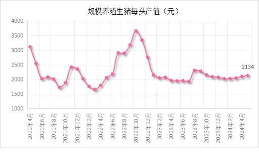 市场‖5月末能繁母猪存栏3996万头！2024年5月生猪产品数据发布