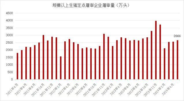 市场‖5月末能繁母猪存栏3996万头！2024年5月生猪产品数据发布