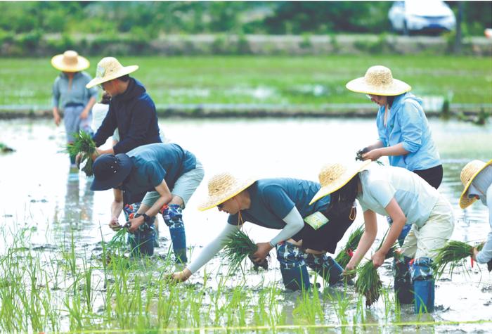 全国各地行动起来：“珍惜土地资源，我们植于心、践于行”