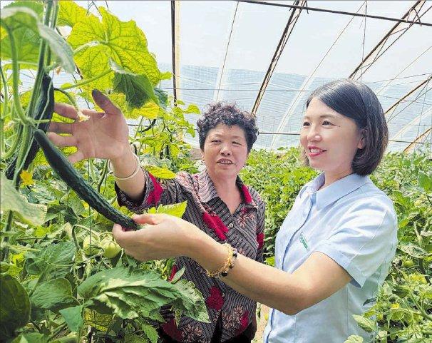 内蒙古杭锦农商银行助力农业发展