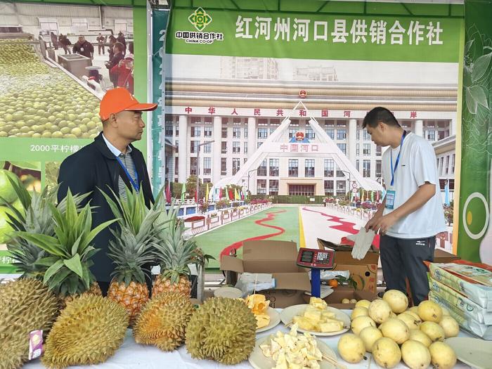 “甜蜜生活在宾川”！这么多种葡萄，够不够实现水果自由