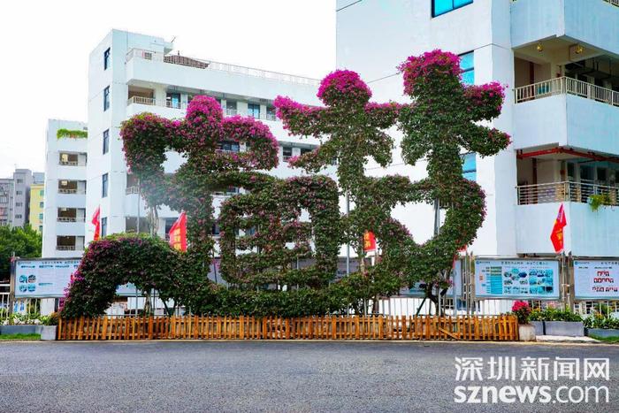 毕业季·走进最美校园⑫｜龙华区博恒实验学校：为每位孩子的幸福人生奠基