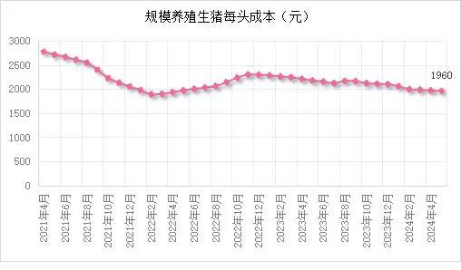 市场‖5月末能繁母猪存栏3996万头！2024年5月生猪产品数据发布