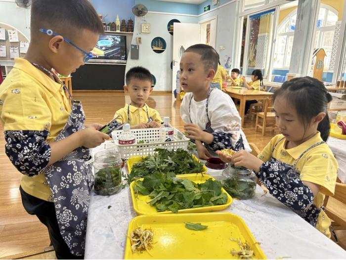 百草浸润“童心”！中医药文化在泉州这所学校绽放……