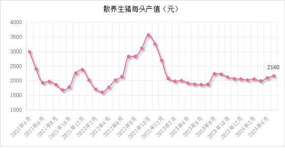 市场‖5月末能繁母猪存栏3996万头！2024年5月生猪产品数据发布