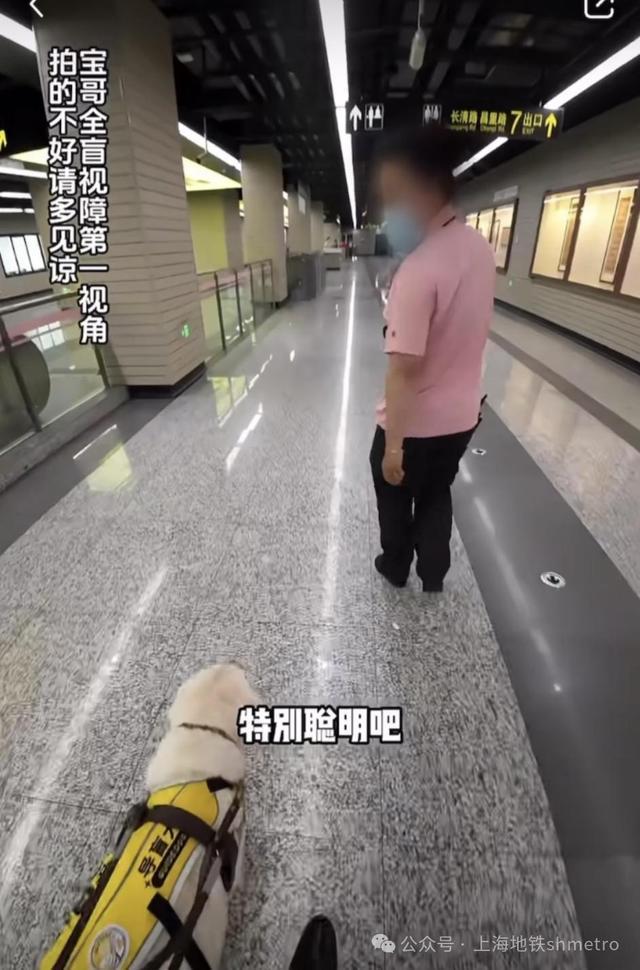 宝哥和他的导盲犬这次来坐上海地铁了！愿更多人用理解尊重关爱照亮出行之路