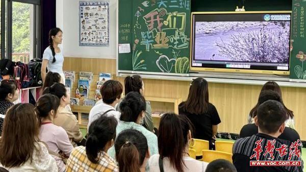 “时光不语 成长有迹” 桃源县师苑幼儿园举行家长半日开放活动