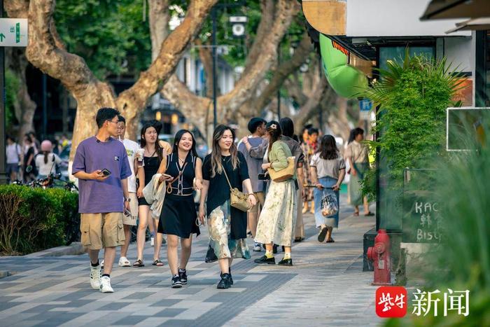 议事苑|精细“绣花”潜心无语，苏州“十全”惊艳江南