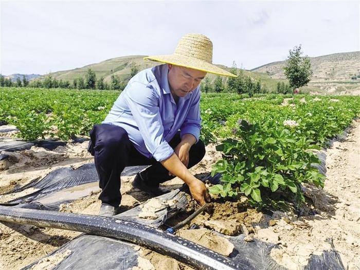 榆中县韦营乡现代丝路寒旱农业节水灌溉示范项目竣工通水