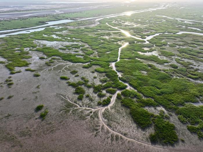 记者手记：大河之洲的生态跃变