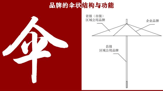 打造农产品区域公用品牌 政府、企业怎么干？