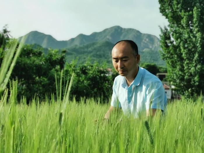 密云河下村第一书记郑忠义：将农家高粱饭推向都市餐桌