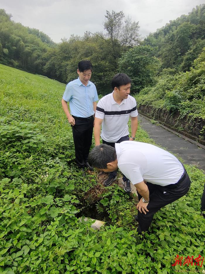 《湖南日报》报道 |常德桃源： “我们要一米一米巡，一米一米查”