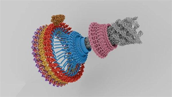 细菌鞭毛马达：最不寻常的生物结构 质子动力每分钟10万转