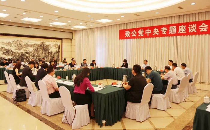 张恩迪出席致公党中央“推进留学人员创业园国际化”专题座谈会