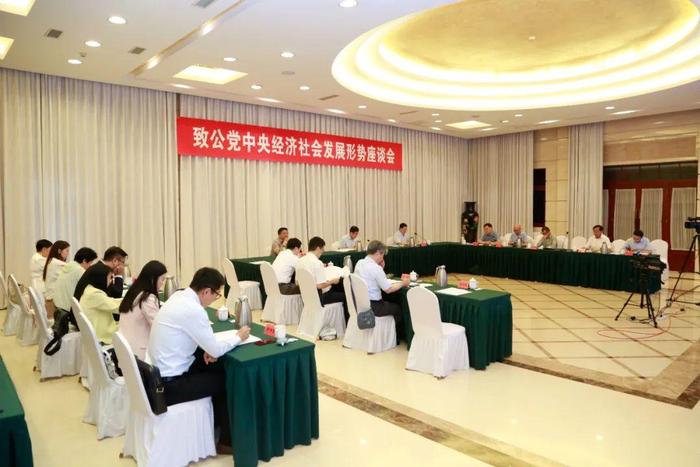 张恩迪出席致公党中央经济社会发展形势座谈会