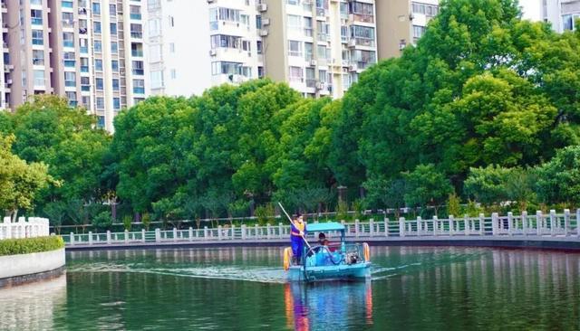 徐汇：一起欣赏碧水微澜的春申港