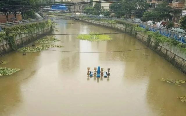 徐汇：一起欣赏碧水微澜的春申港