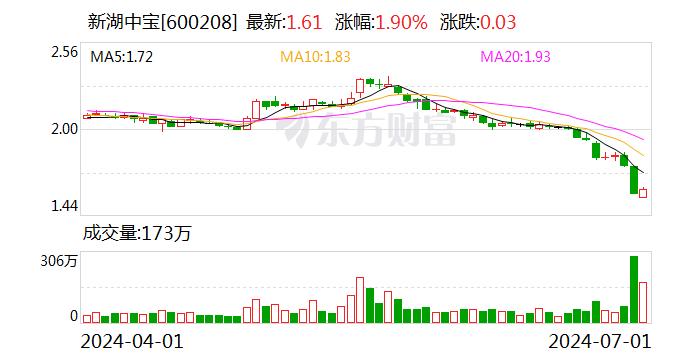 新湖中宝将于7月17日召开股东大会