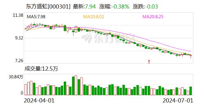 东方盛虹：2024年第二季度“盛虹转债”转股398股