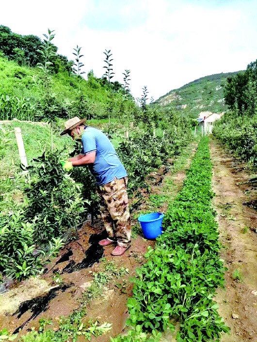 强经济　促转型　暖民心