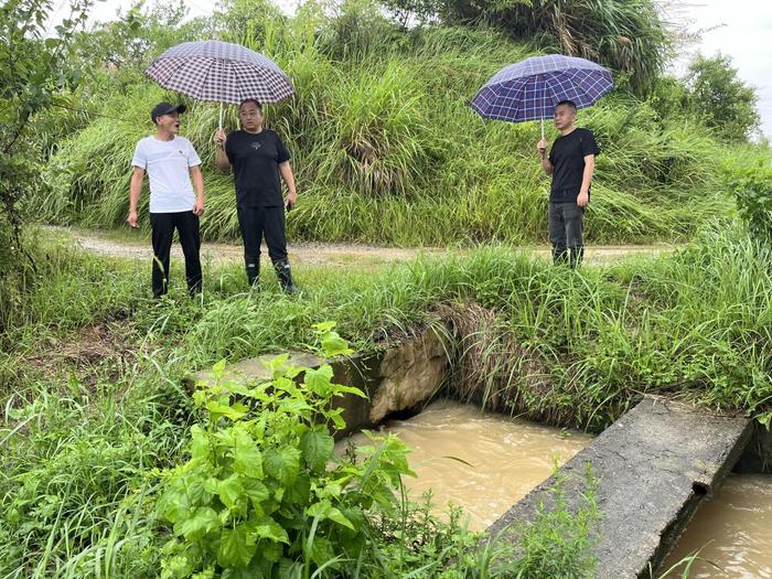 怀宁县金拱镇：汇聚人大力量，奋战防汛一线