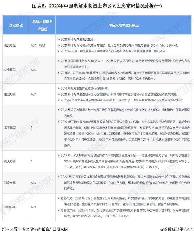 【最全】2024年中国电解水制氢行业上市公司全方位对比(附业务布局汇总、业务规划等)