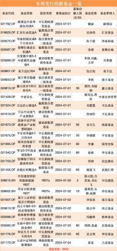 两只公募REITs，同日开卖