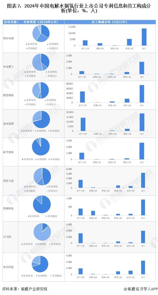 【最全】2024年中国电解水制氢行业上市公司全方位对比(附业务布局汇总、业务规划等)