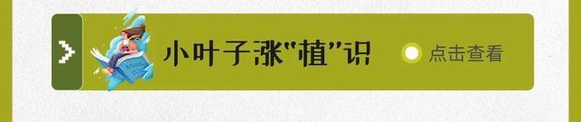 暑假有哪些趣味活动？7月科普月历来啦！