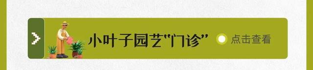 暑假有哪些趣味活动？7月科普月历来啦！