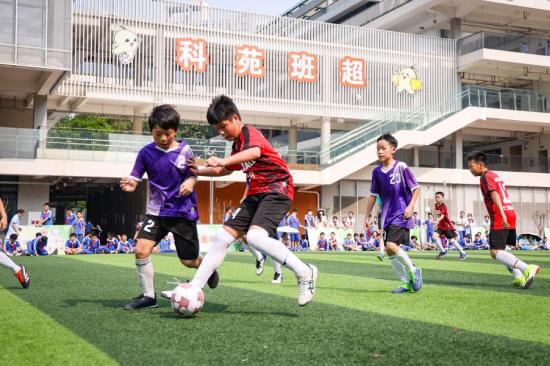 点赞！教育部最新公布，深圳31所学校上榜国家级名单