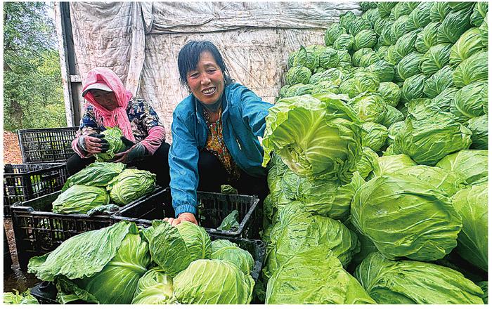 我市各领域积极融入京津冀协同发展大局