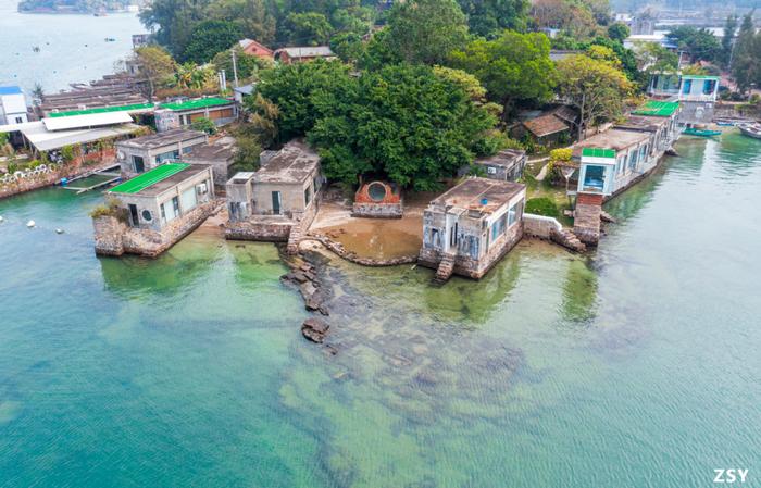 港城夏韵浓 | 畅游其中，你是哪种夏日旅行家？