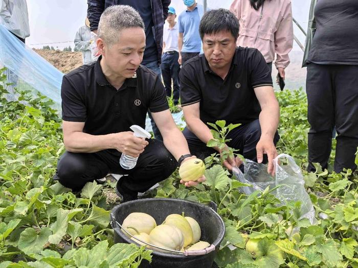 社会眼｜一口“龙江瓜”有多少科技含金量？