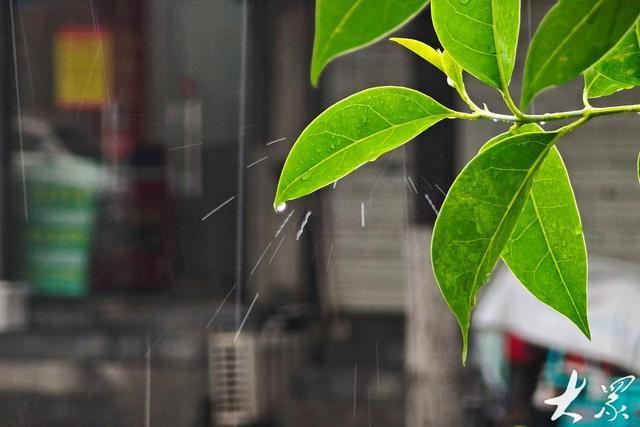 终于等到雨！未来一周我省进入多雨期