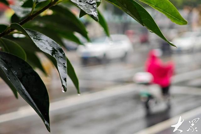 终于等到雨！未来一周我省进入多雨期