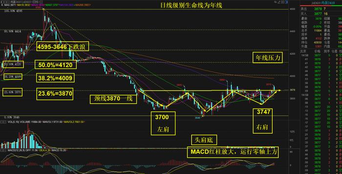 鸡蛋：淡季不淡，原因何在？