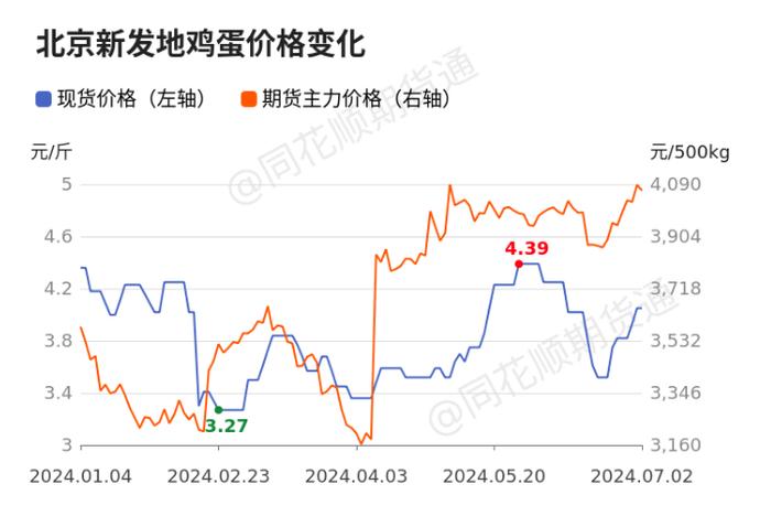 鸡蛋：淡季不淡，原因何在？