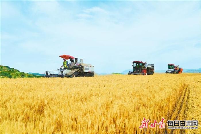 【图片新闻】西和县举行小麦机收减损活动